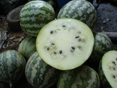 金佛瓜怎么吃才好吃视频,视频教你轻松解锁最佳食用方法