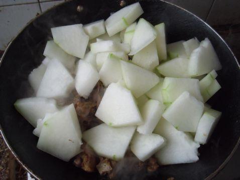 老公鸡吃瓜视频大全