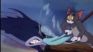 吃瓜奇遇记完整版视频,揭秘视频背后的精彩瞬间