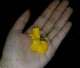 四川吃瓜群众吃瓜视频大全,趣味横生的吃瓜视频大盘点