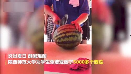 陕师大老师吃瓜视频,校园生活新视角