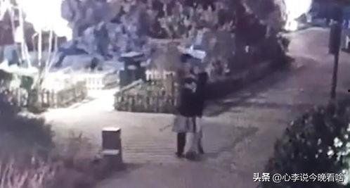 沛县吃瓜事件视频