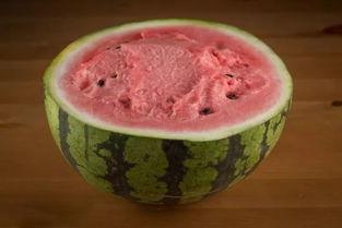 南方吃瓜搞笑视频