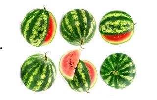 玉米群众吃瓜视频,揭秘田间地头欢乐时光