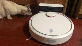 吃瓜视频之机器人,揭秘吃瓜视频背后的秘密