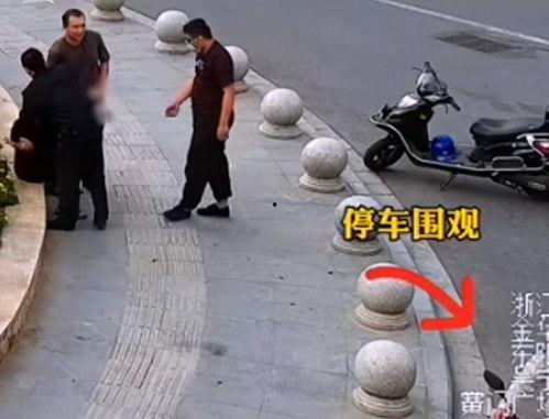 围观吃瓜被抓是哪一集视频,揭秘网络围观背后的法律风险