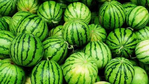 爆火最新吃瓜视频,揭秘娱乐圈最新热点事件！