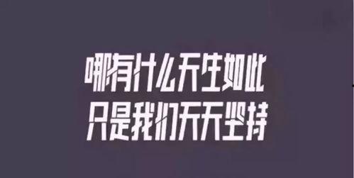 吃瓜自由文案视频制作,网络热词背后的社会现象与思考