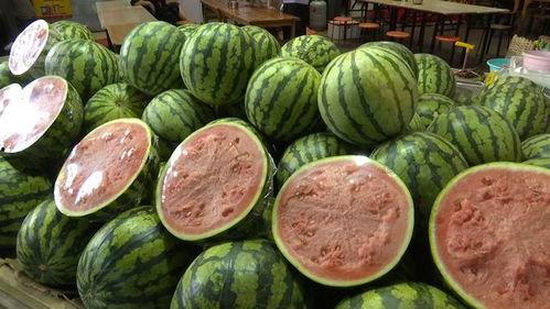 吃两个瓜的视频