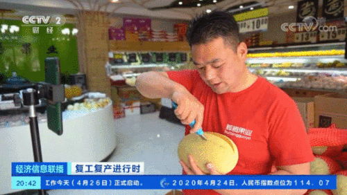 吃瓜视频直播水果哥