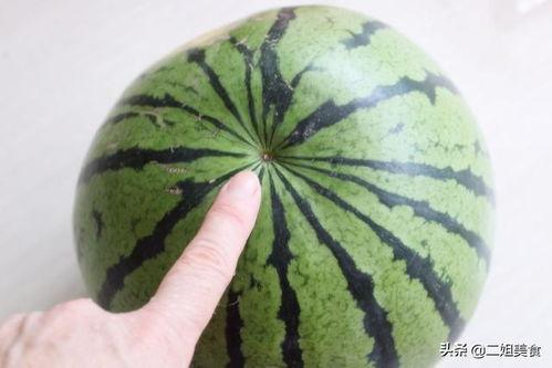 如何拍吃瓜照片视频