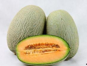 豆柴吃哈密瓜视频,一场甜蜜的美食邂逅