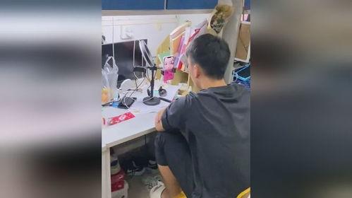 宿舍吃瓜现场视频,揭秘校园生活趣味瞬间